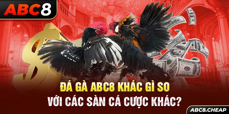 Đá gà ABC8 khác gì so với các sàn cá cược khác?