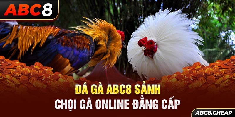 Đá gà ABC8 sảnh chọi gà online đẳng cấp