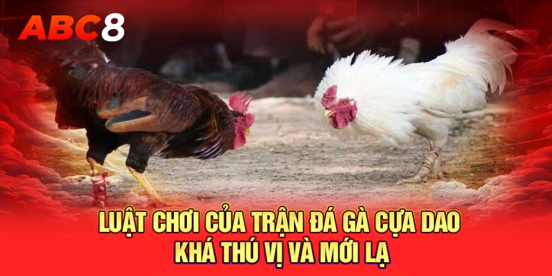 Luật chơi của trận đá gà cựa dao khá thú vị và mới lạ