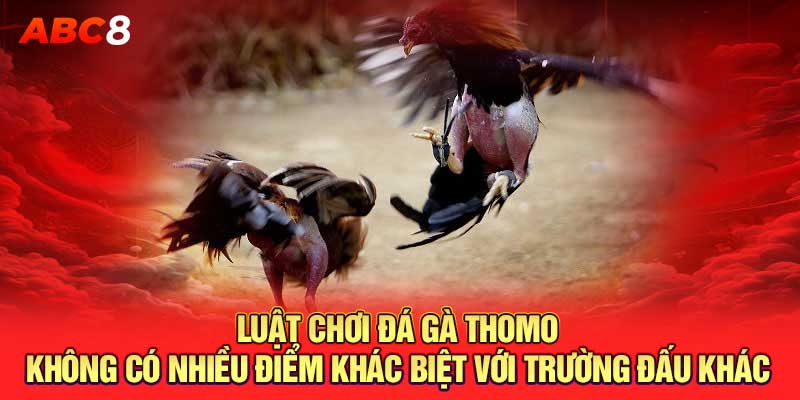 Luật chơi đá gà Thomo không có nhiều điểm khác biệt với trường đấu khác